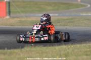 DSC_0017 (3)